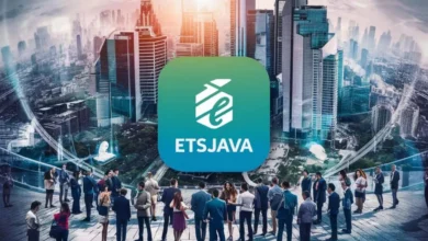 The Evolution of etsjavaapp Version Over Time